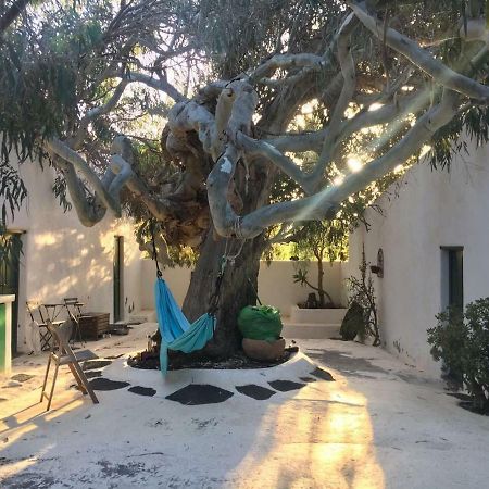 Patio II Studio At Finca Ла-Асомада Экстерьер фото